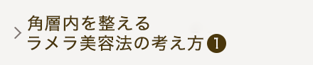 角層内を整えるラメラ美容法の考え方（1）