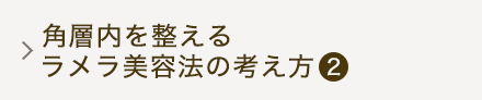 角層内を整えるラメラ美容法の考え方（2）