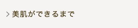 美肌ができるまで