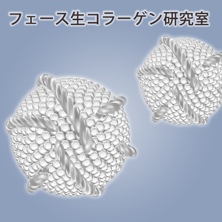 フェース生コラーゲン研究室